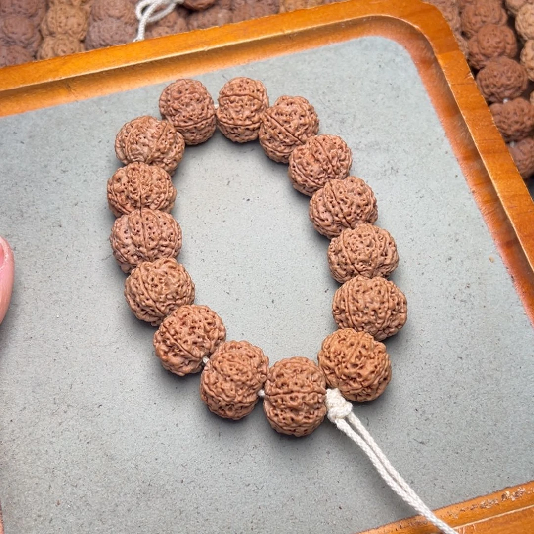 菩提1号金刚菩提六瓣23