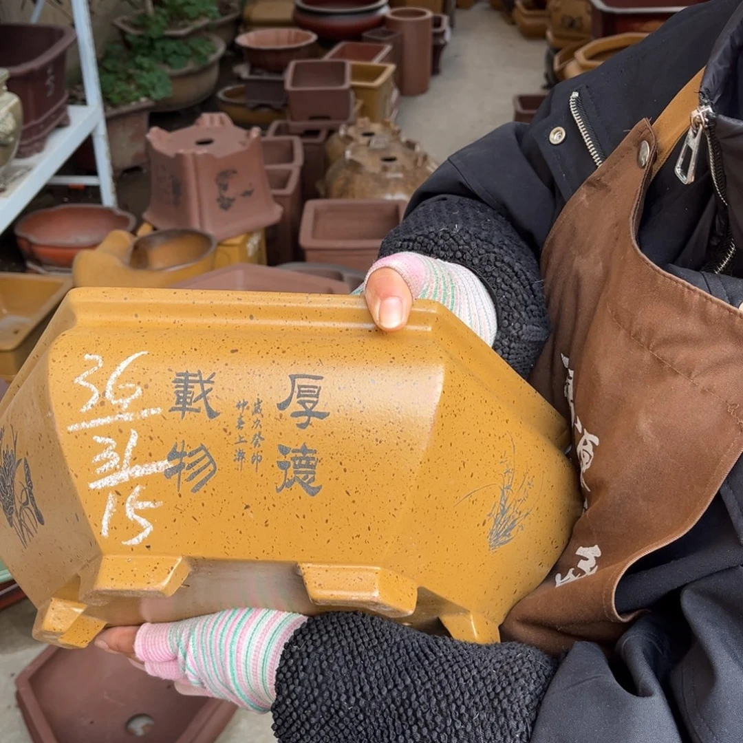 紫砂花盆盆景艺术