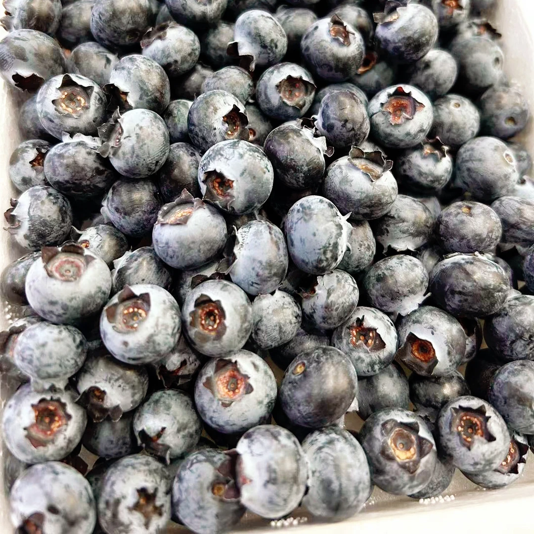 新鲜云南蓝莓 脆甜多汁果肉饱满