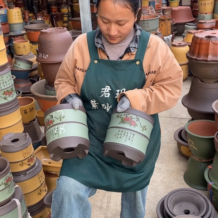 紫砂花盆盆栽花卉苗木种植