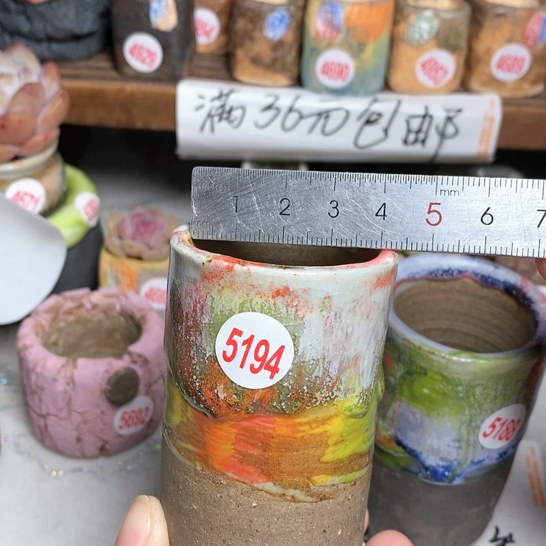 红陶拍5送一个小