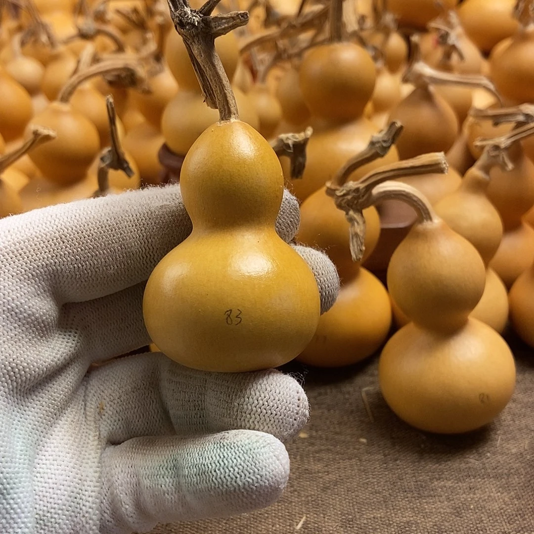 文玩葫芦 完美主义者 慎拍83