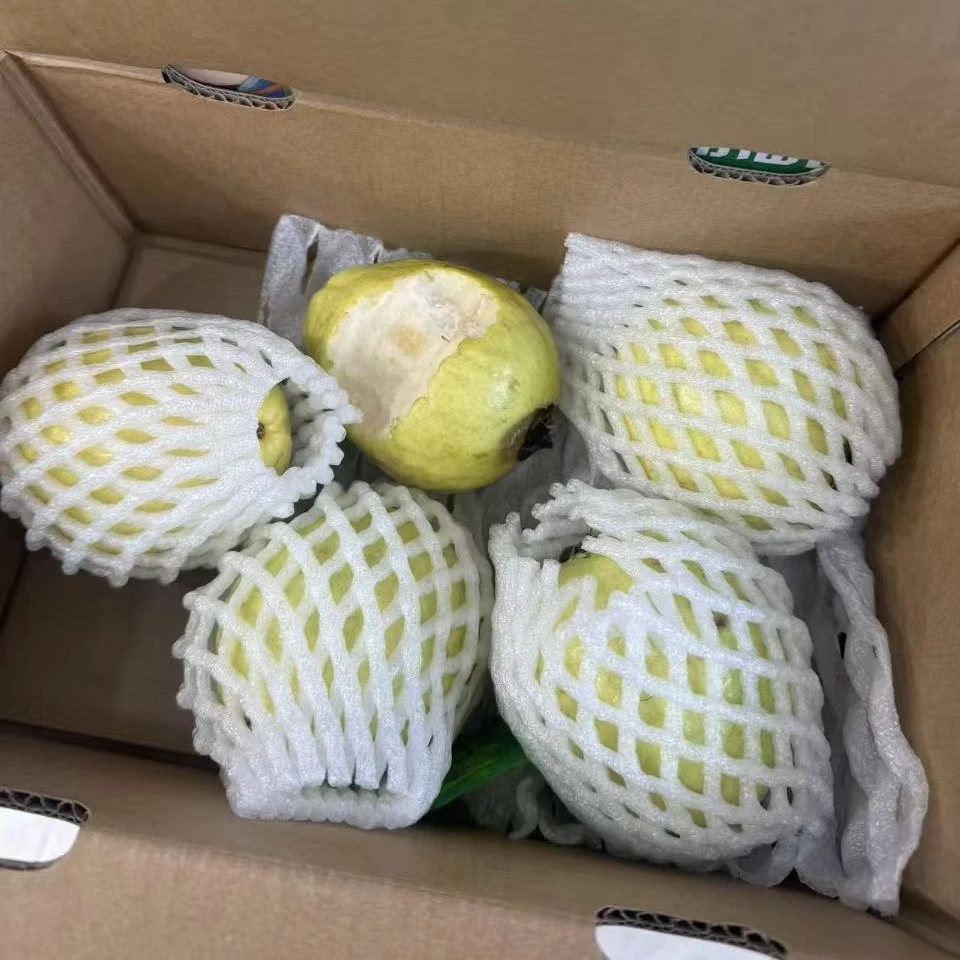 树上熟奶油芭乐1箱