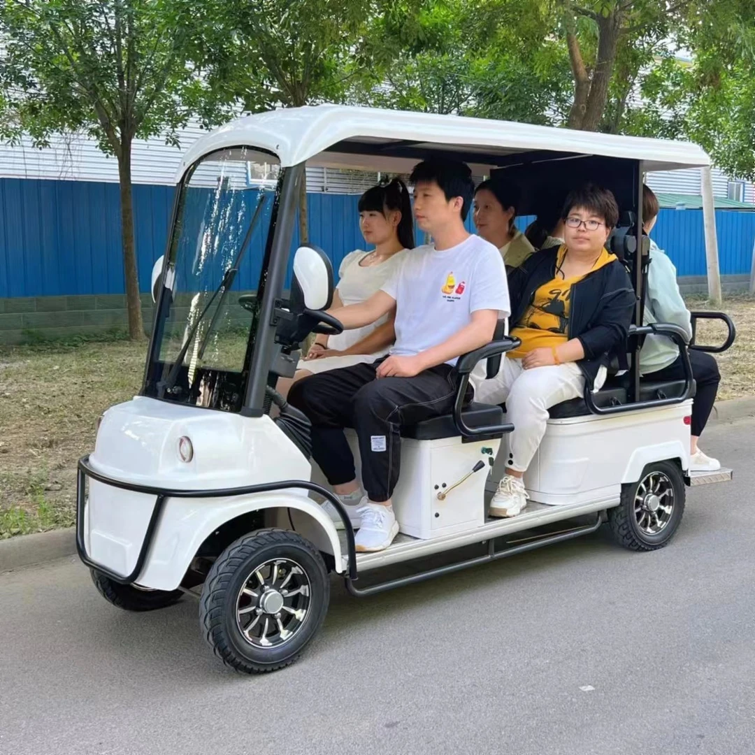 小巴士四座六座旅行观光车代步车家用景区定制电动四轮车厂家直销