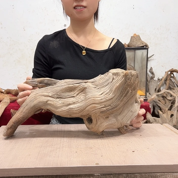 柏木是***为我们的生活