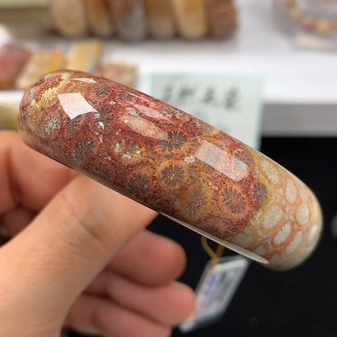 【闪购商品】硅化珊瑚（珊瑚玉）手镯未镶嵌（23号）54捡漏