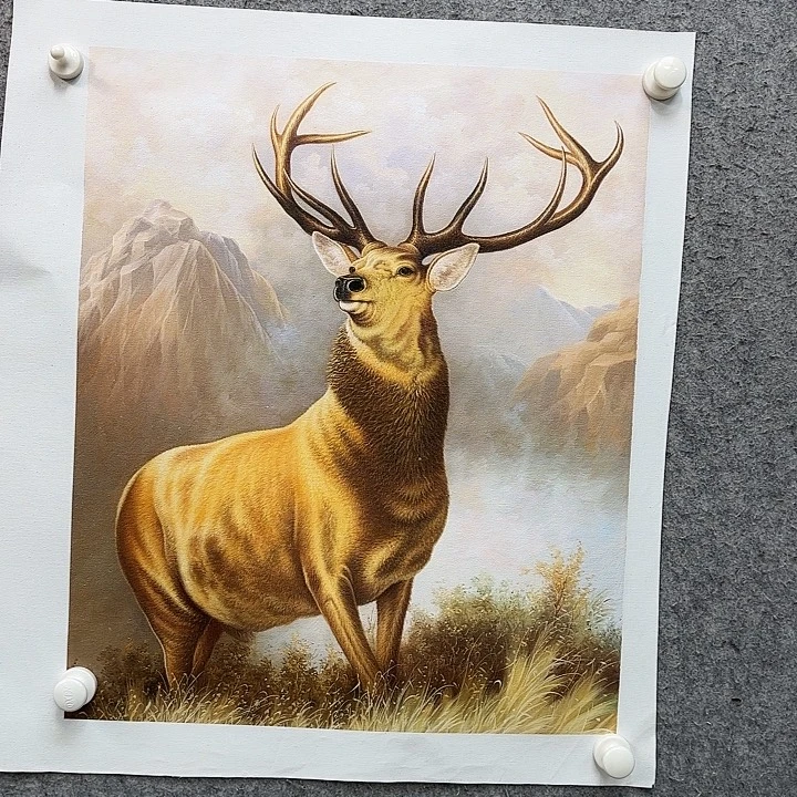 书法作品多次参加全国