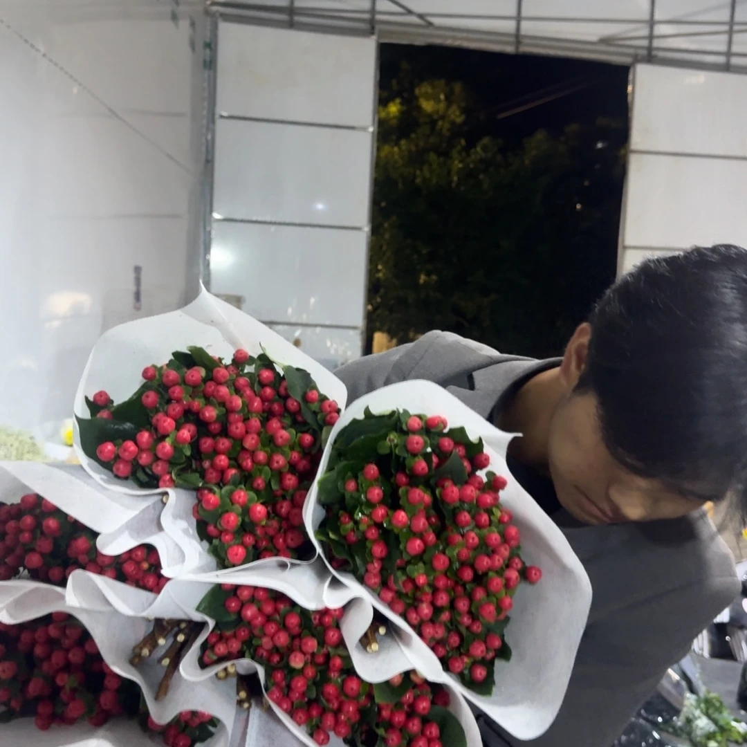 红豆2扎包邮价秒杀
