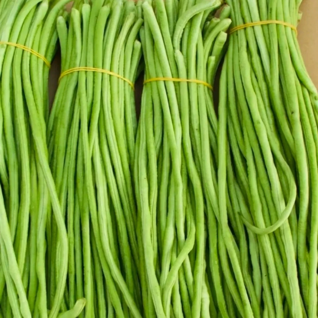 沂蒙山头茬当天现摘 长豆角 当季农家现摘新鲜嫩豆角长豆角3斤5斤豆角豆角