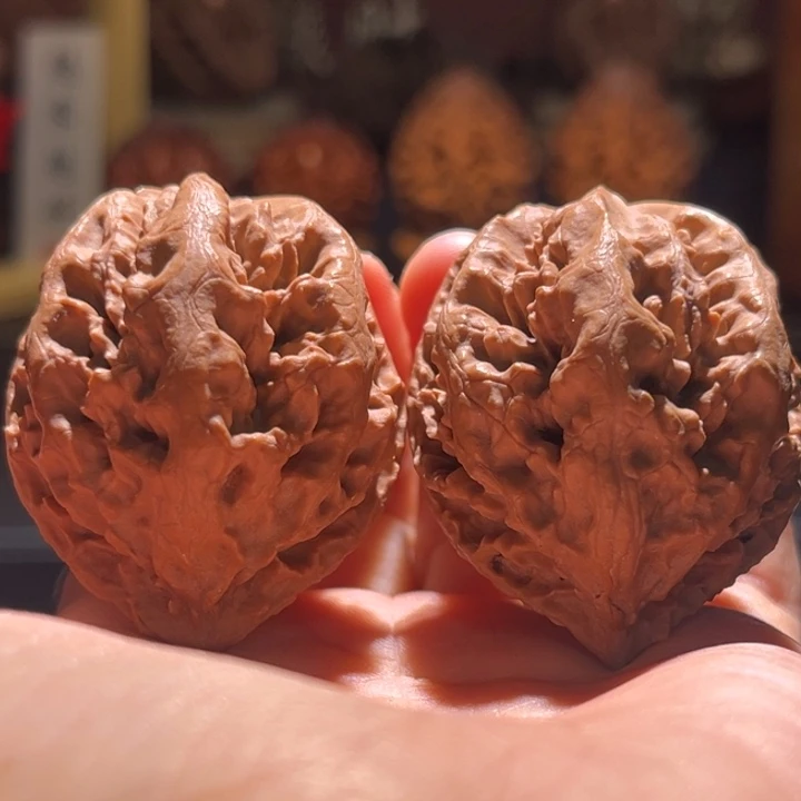 文玩核桃吊坠暴龙37