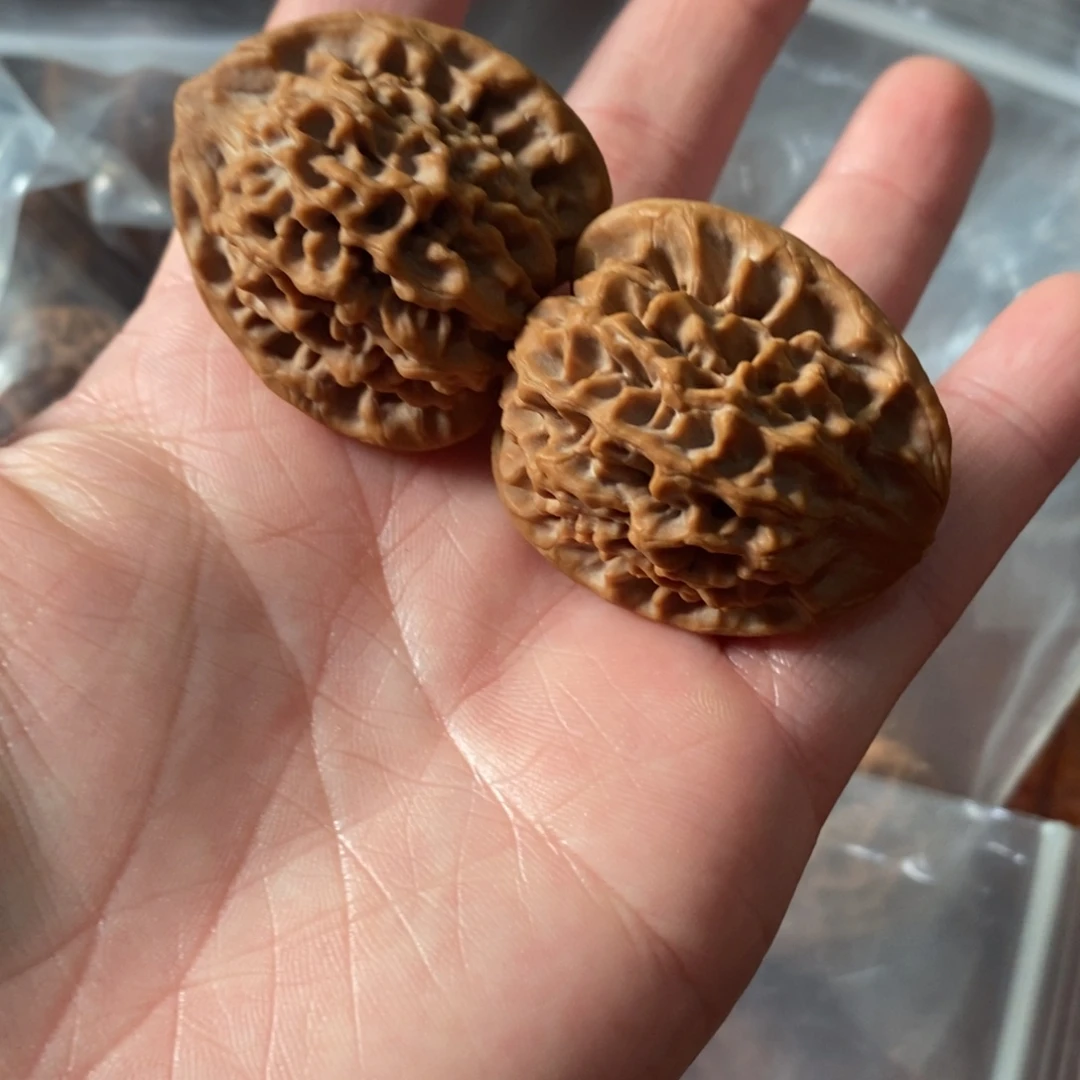 秦岭野生核桃秦闷