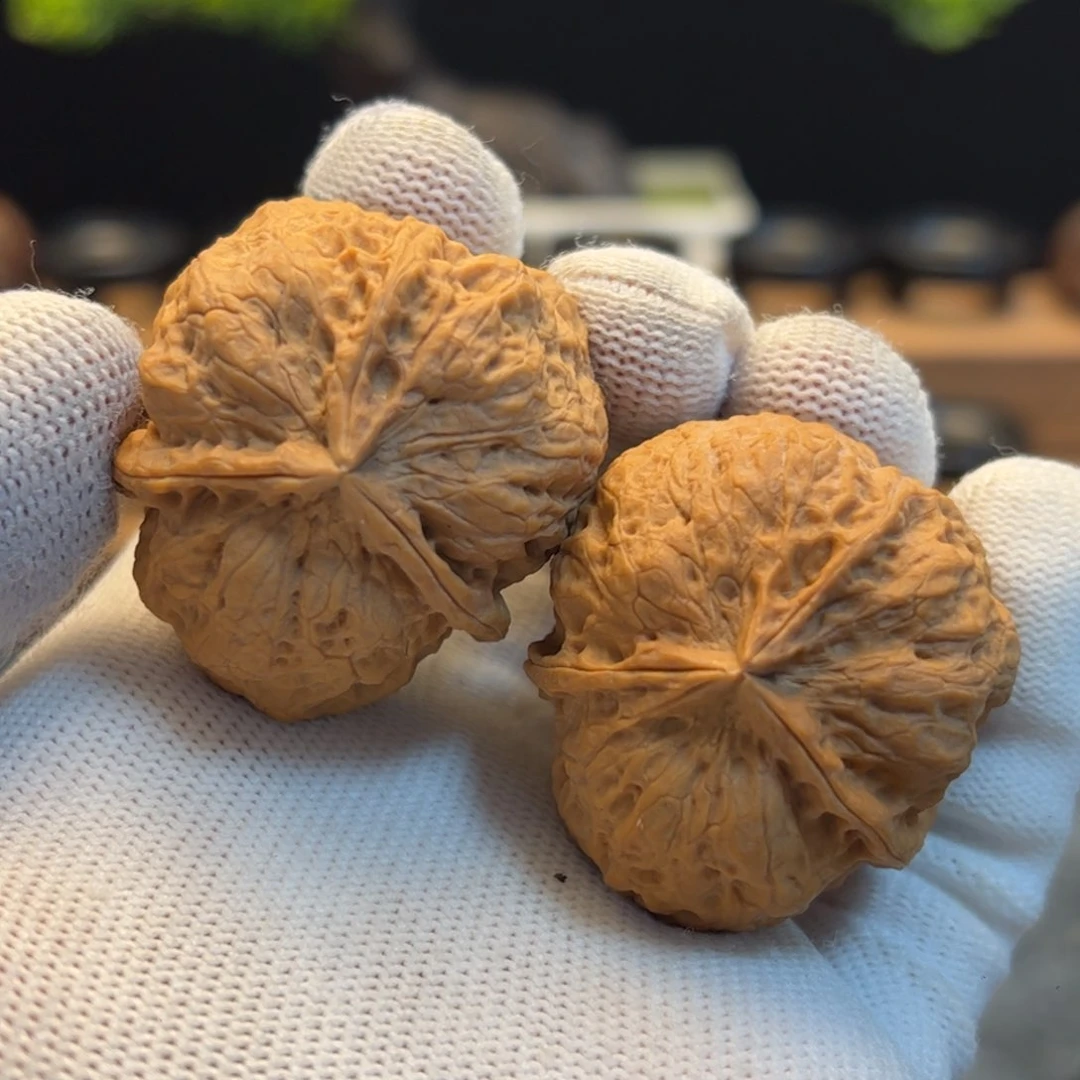 文玩核桃把件40mm异形龟背