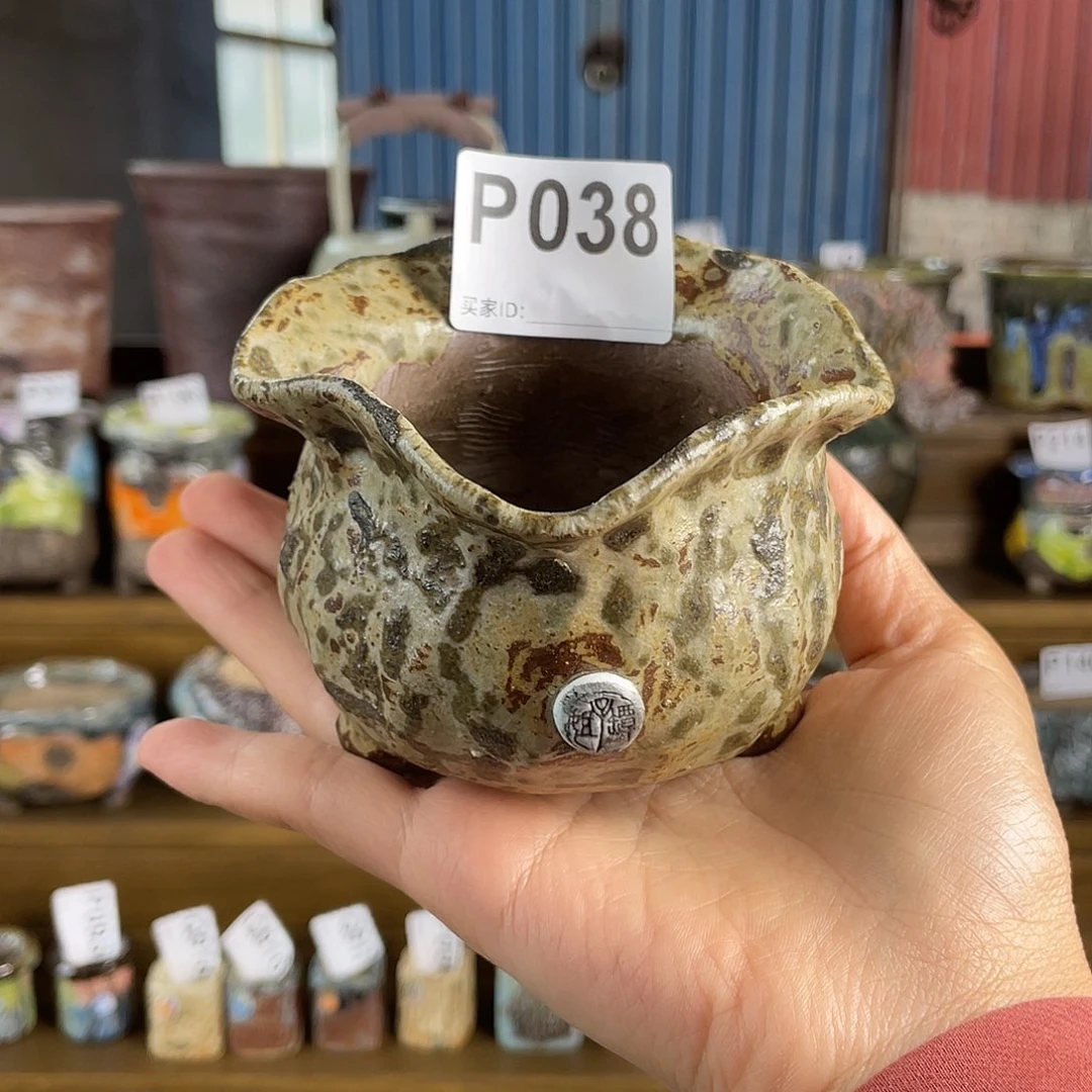 限量特价福利引流款 外口10  百搭