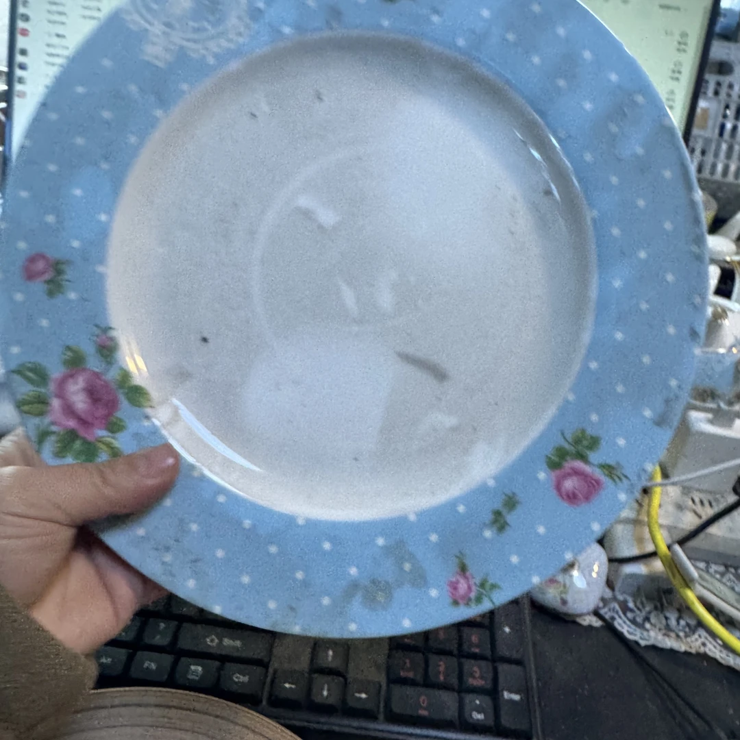 骨瓷10.5寸蓝色碎花玫瑰盘子微瑕