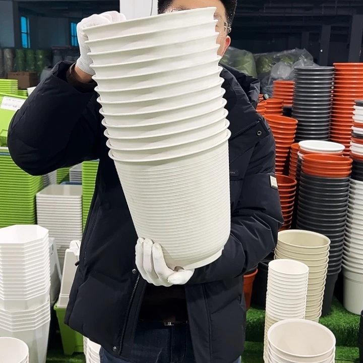 正品高陶口24高24白色5只无托