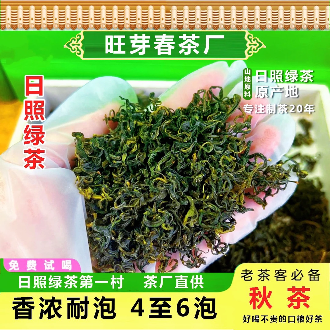 日照绿茶新茶晚秋茶浓香型板栗味浓郁豆香味十足沙口耐泡度高
