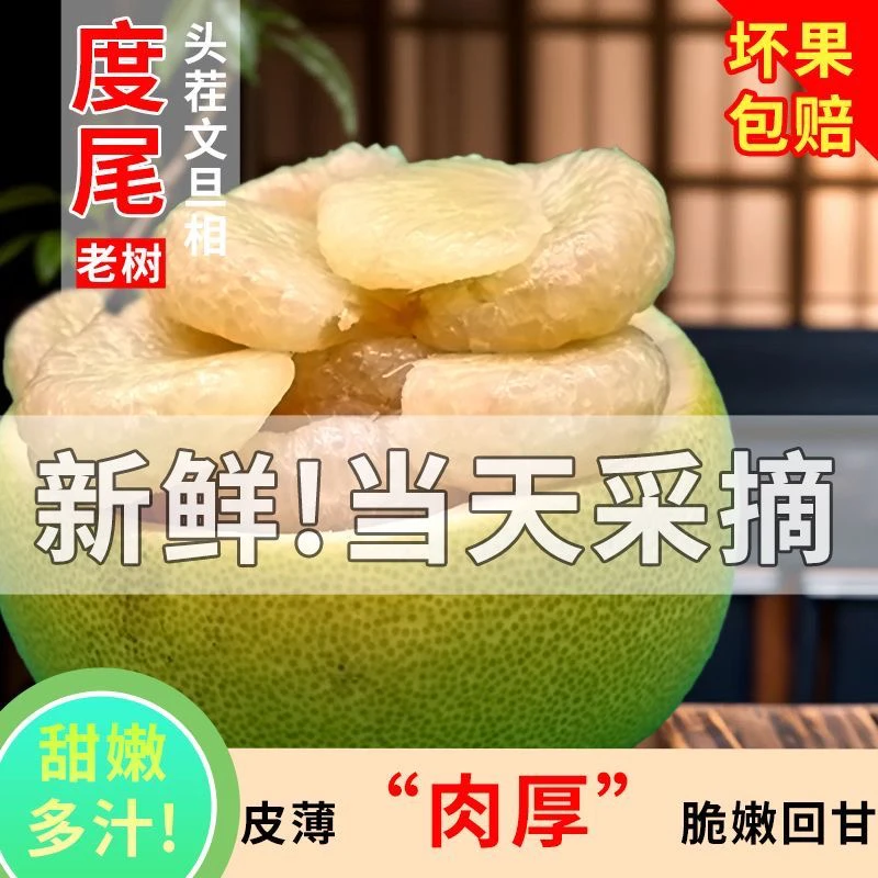（洞洞果）福建仙游度尾文旦柚红心白心新鲜应季孕妇水果酸甜多汁