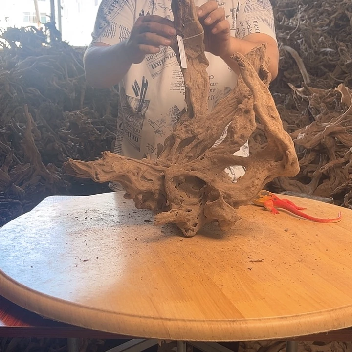 木454546鱼缸造景根雕艺术110