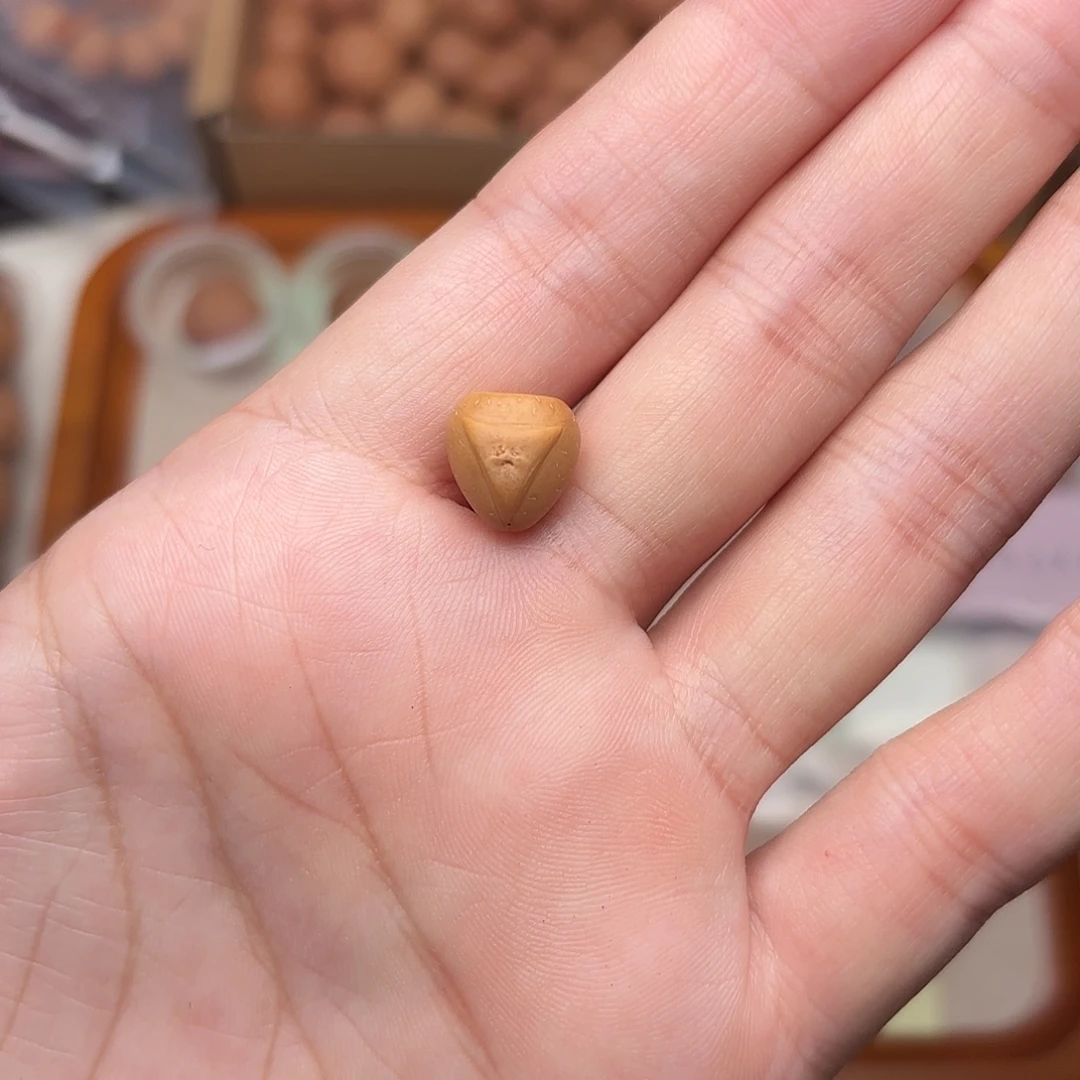 来***季凤眼菩提手串龙塔