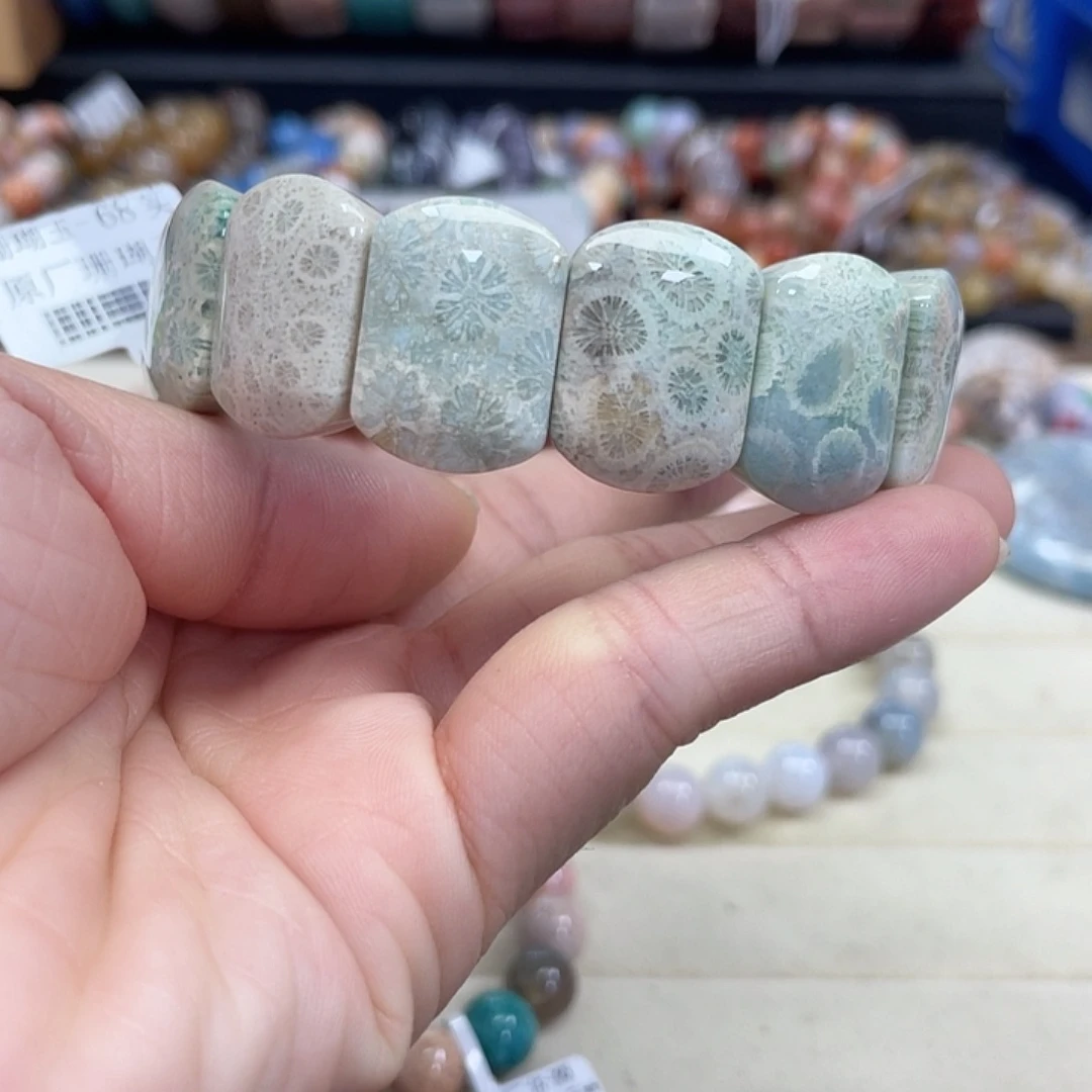 未镶嵌手串硅化珊瑚（珊瑚玉）713