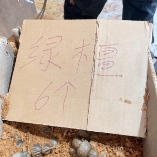 非洲紫檀（红花梨）
