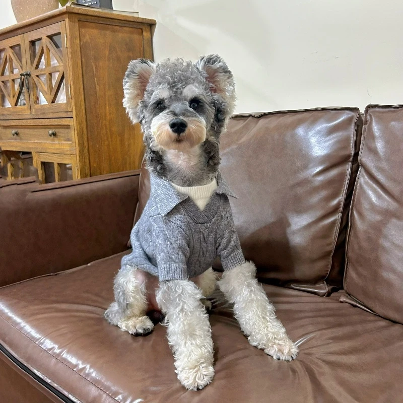 秋冬狗狗新品保暖毛衣雪纳瑞泰迪比熊柴犬中小型假两件POLO衫衣服