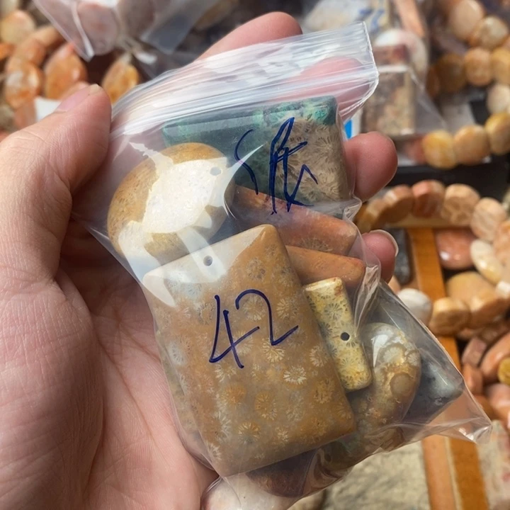 泥***家颈饰未镶嵌硅化珊瑚（珊瑚玉）