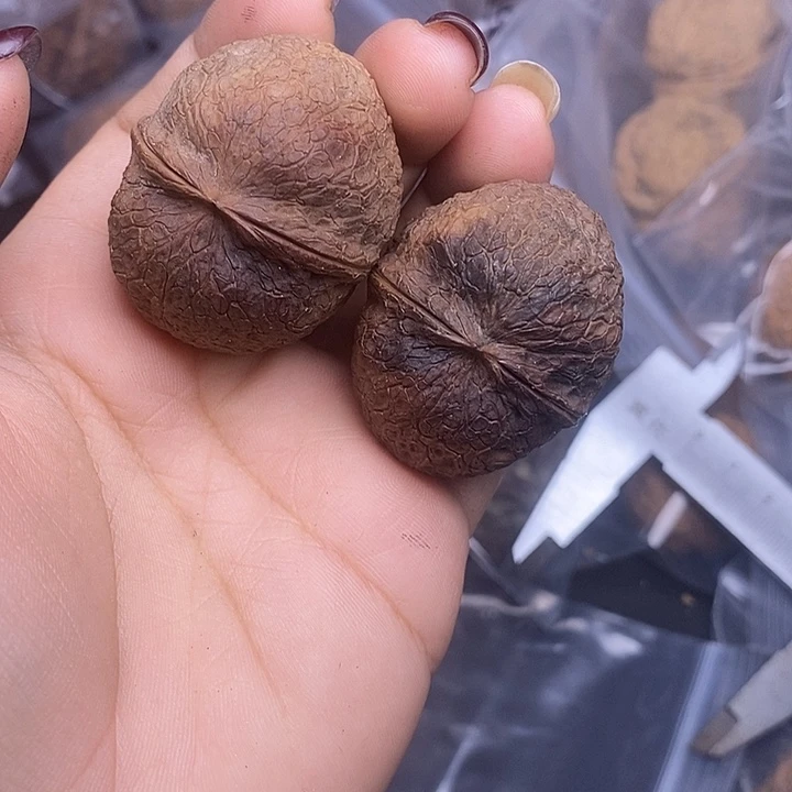 吊坠文玩核桃      65h