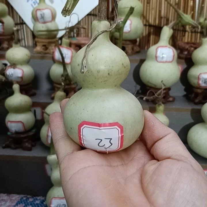 23号一物一拍一个账号
