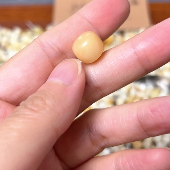 蜜蜡未镶嵌裸石11.1mm一个