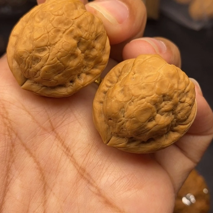 把件文玩核桃31尺金刚鹦鹉