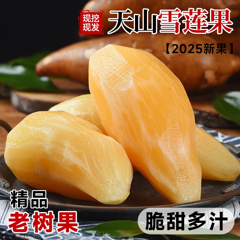 2025年新果精品现挖云南天山黄心雪莲果新鲜水果脆甜多汁包邮