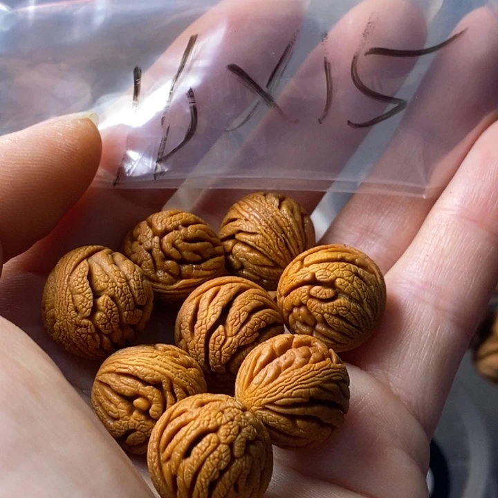 文玩核桃手串秦岭野生龙纹桃核16