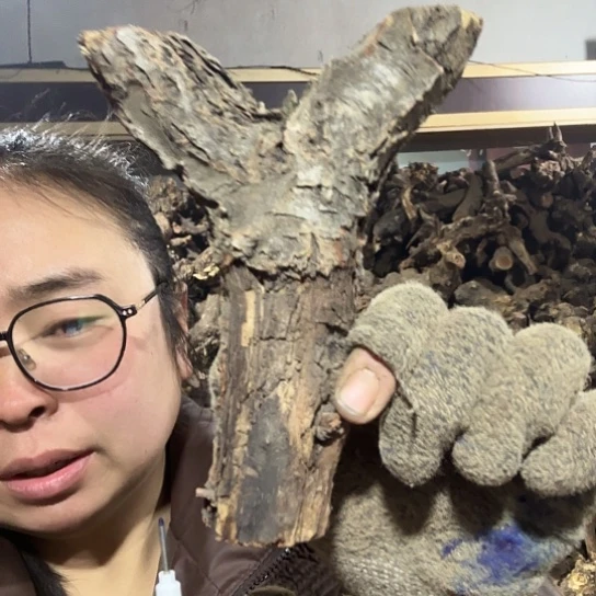 香榧木庄*库火琉璃的毛料摆件