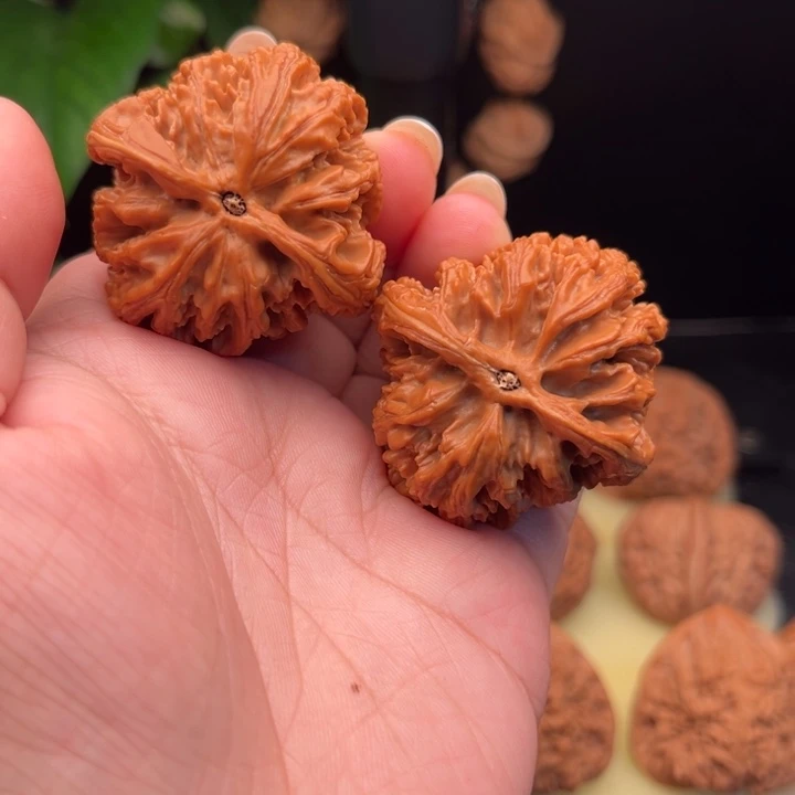 靜***開文玩核桃把件九龙筋