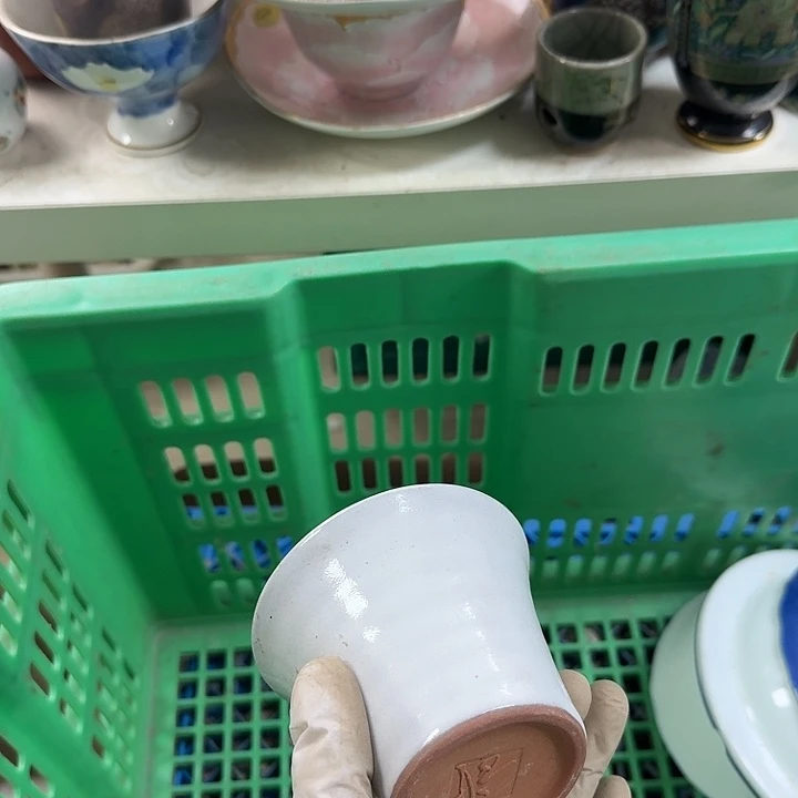 碟开播啦…开播啦