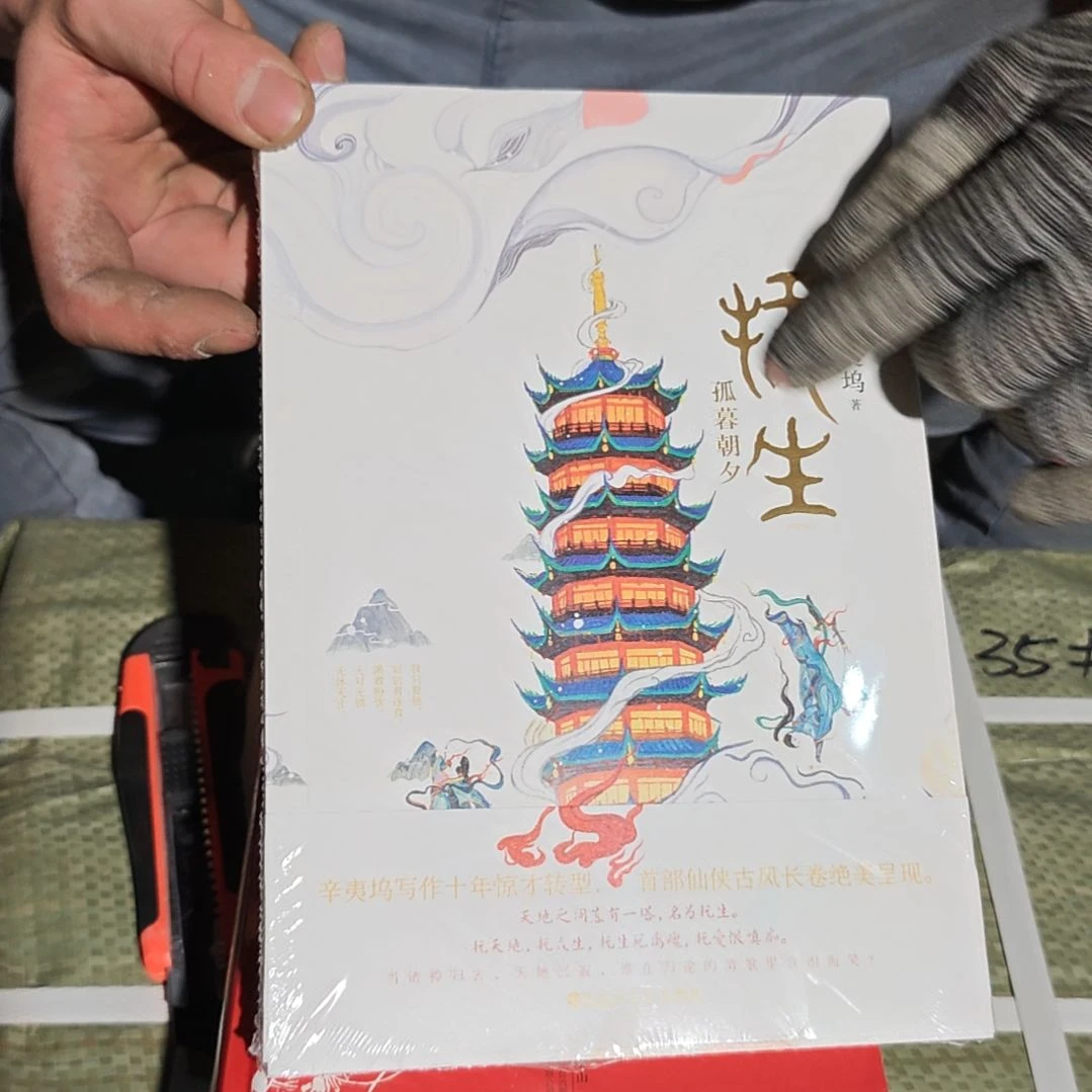 孤独朝夕平装塑封塑封