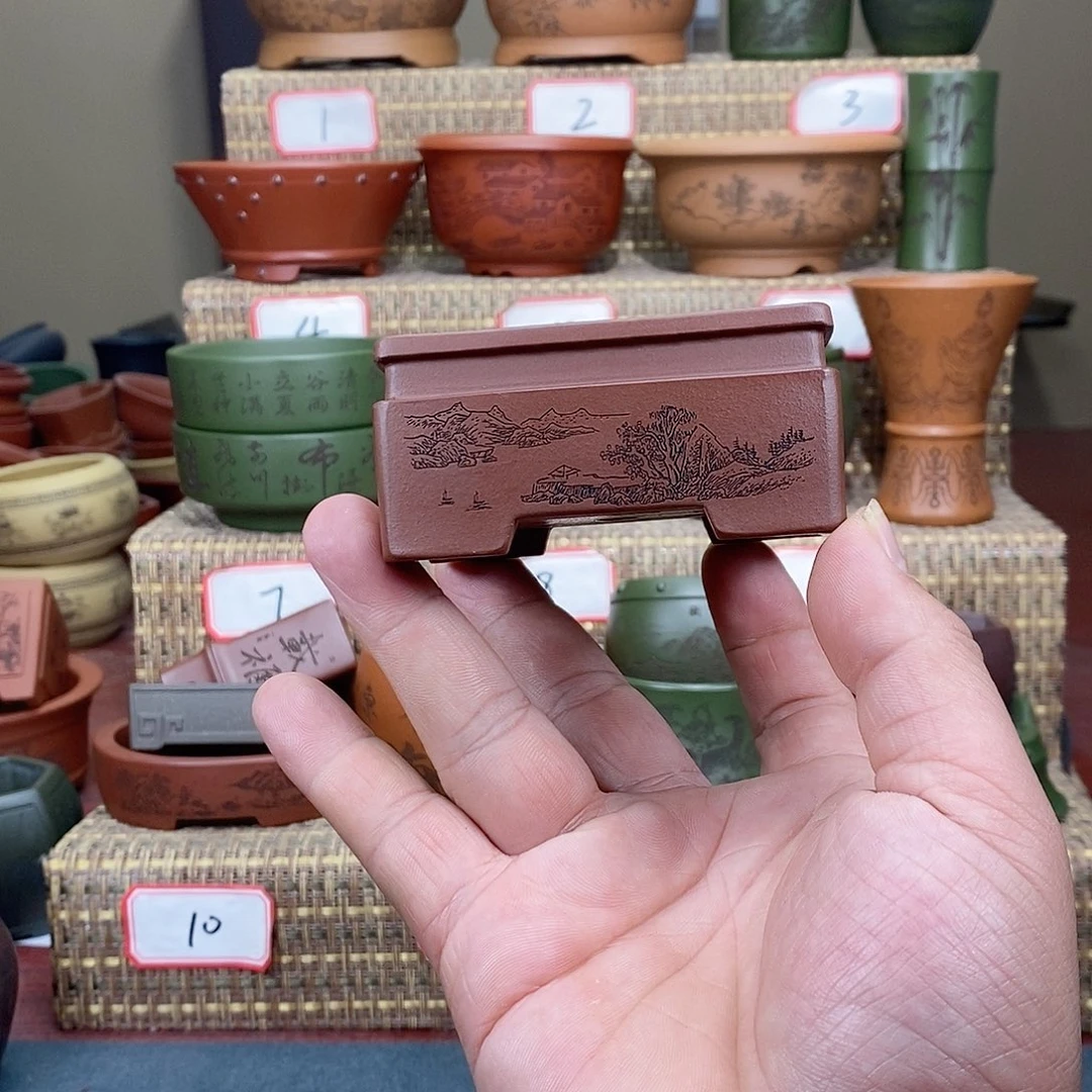 紫砂花盆我在等一