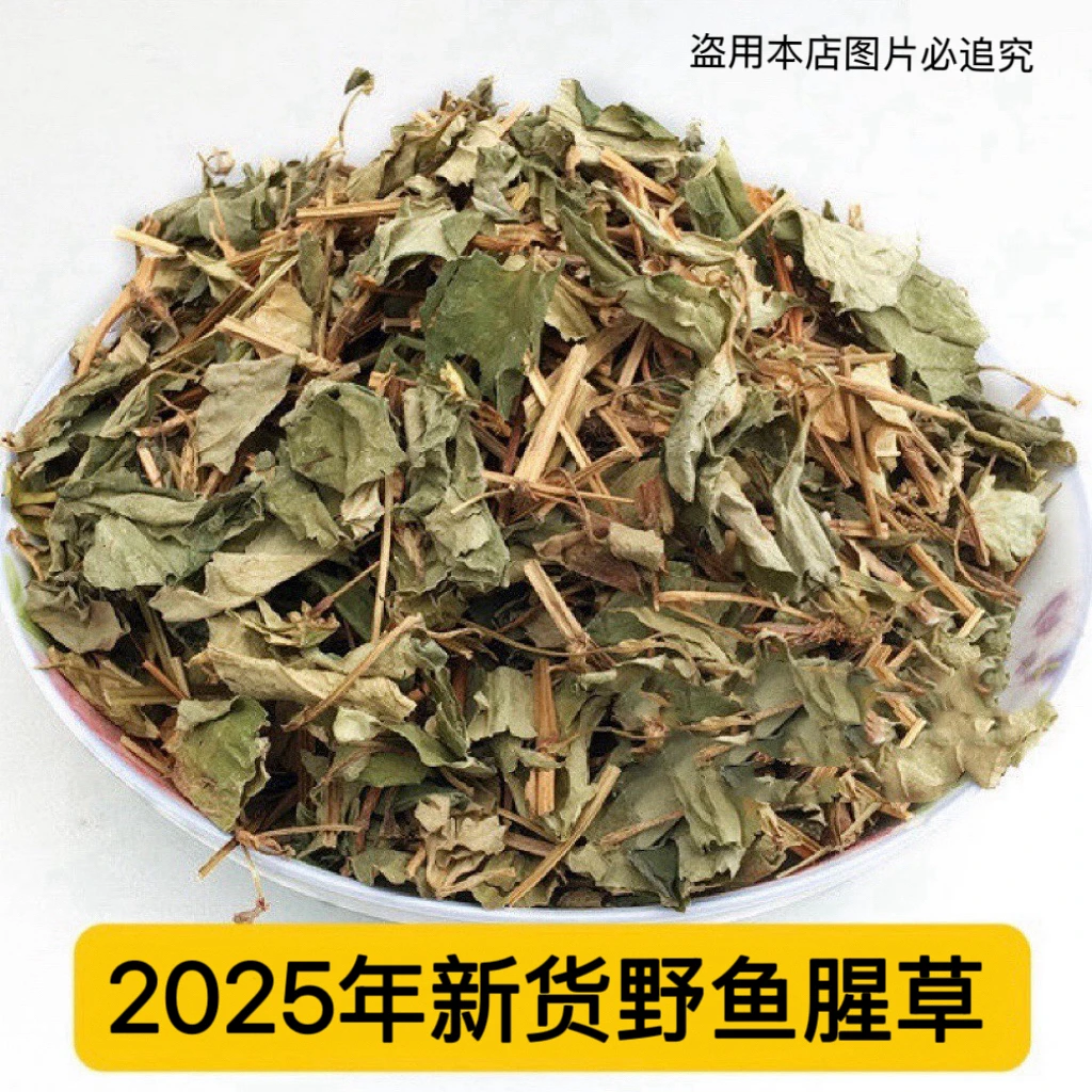 大山里新鲜野鱼腥草折耳根250g新货500g鱼腥草干货泡茶