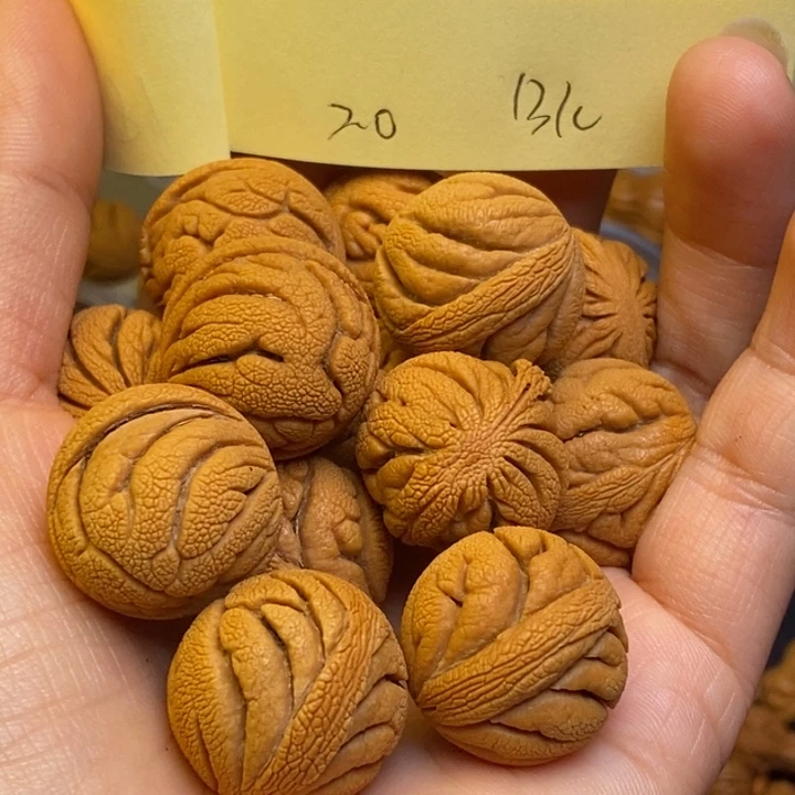 吊坠桃核秦岭龙纹20尺寸