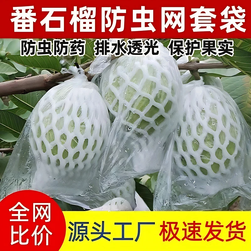 番石榴套袋水果套袋通用防鸟一体泡沫专用芭乐套袋石榴防虫套袋