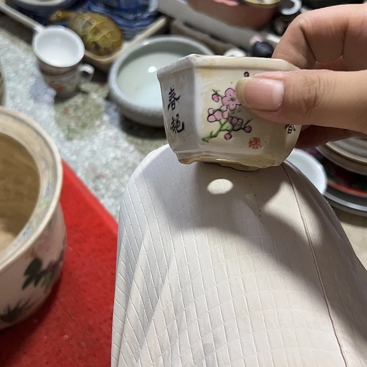 新*。。。。。。。。。。。。。。