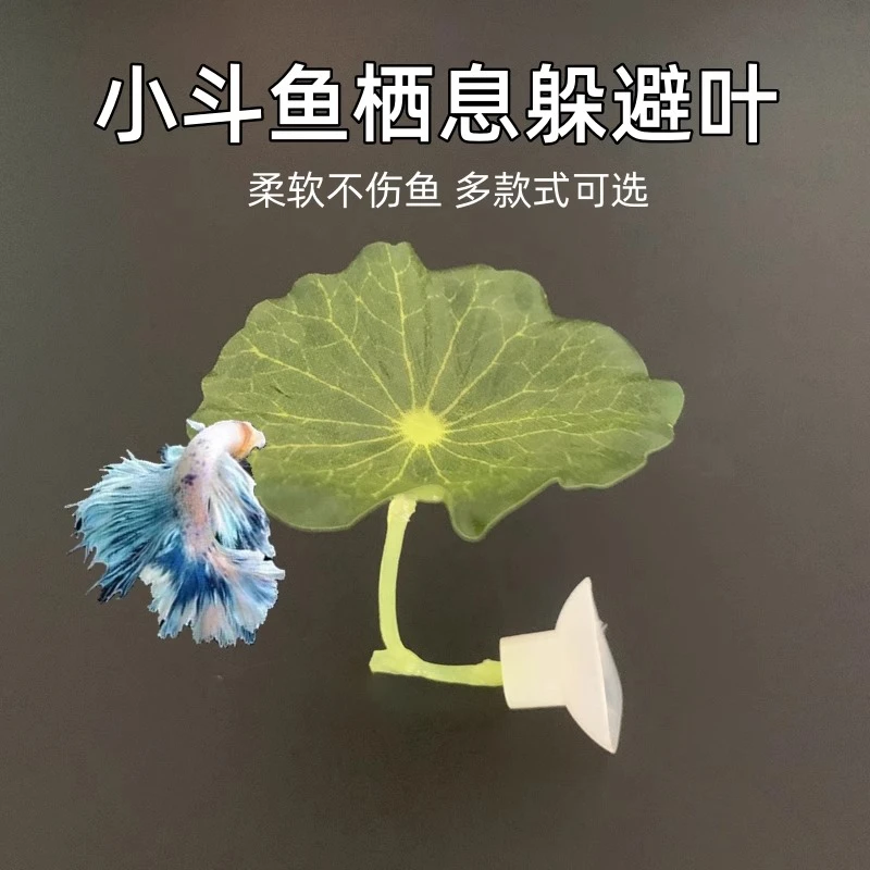 斗鱼栖休息躲避叶产卵荷叶子仿真水草树叶睡觉床鱼缸造景装饰摆件
