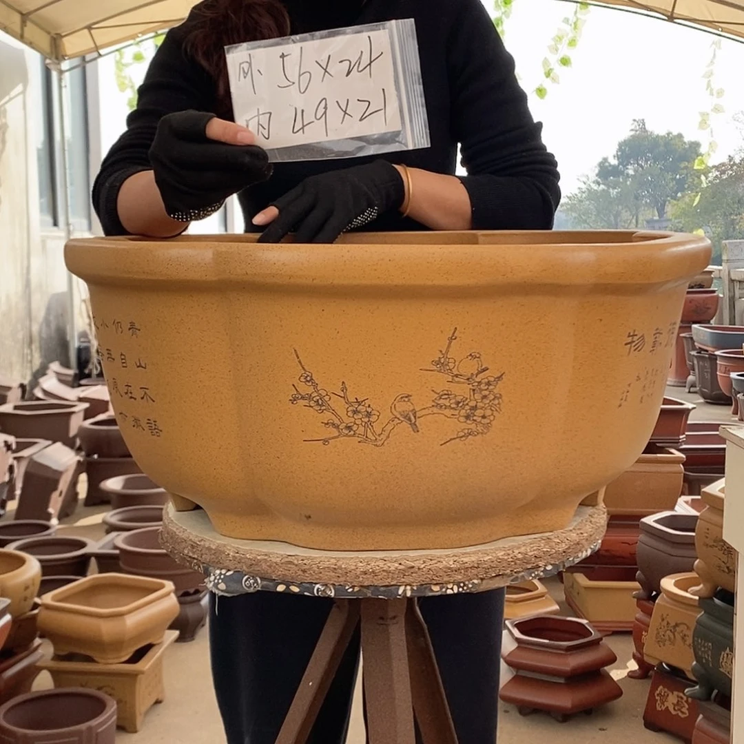 紫砂花盆紫砂花盆