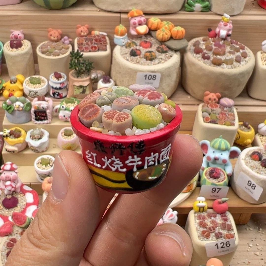 多肉植物143号拇指盆