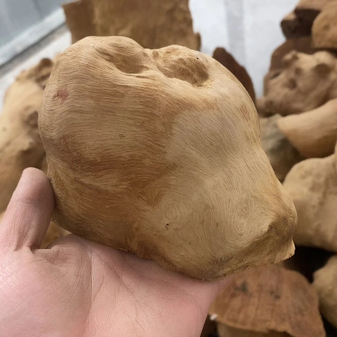 荔枝木脚**泥荔枝木原料