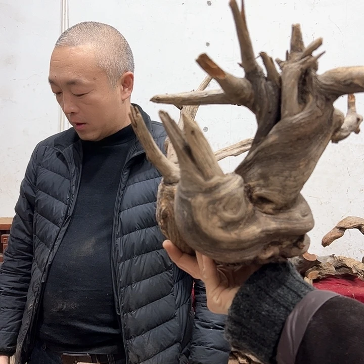 柏木禹*清乾隆三十三载至光绪三十一
