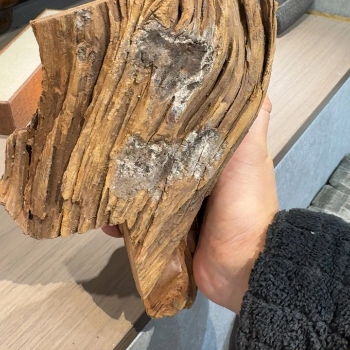 鸡翅木李*崖柏等自然资源和资源