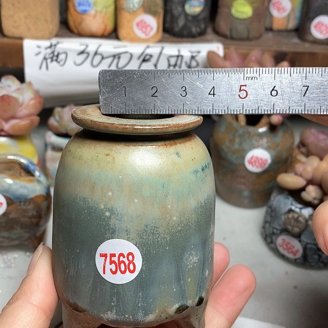 红陶拍5送一个小