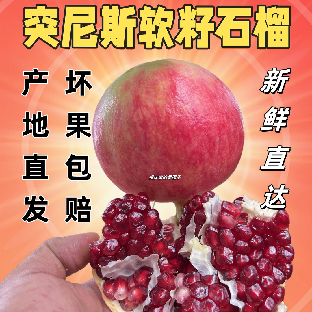 （新鲜采摘）四川会理软籽石榴新鲜采摘爆甜多汁不吐籽水果
